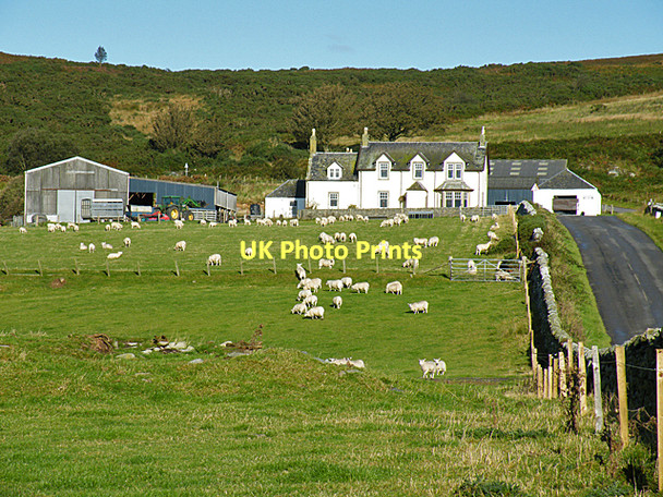 Photo 6"x4" Scalpsie Farm Tarmore Hill c2011