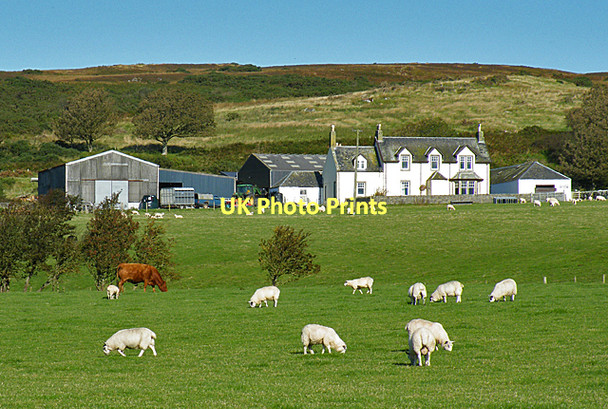 Photo 6"x4" Scalpsie Farm Tarmore Hill c2011