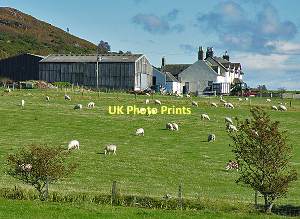 Photo 6"x4" Scalpsie Farm Tarmore Hill c2011