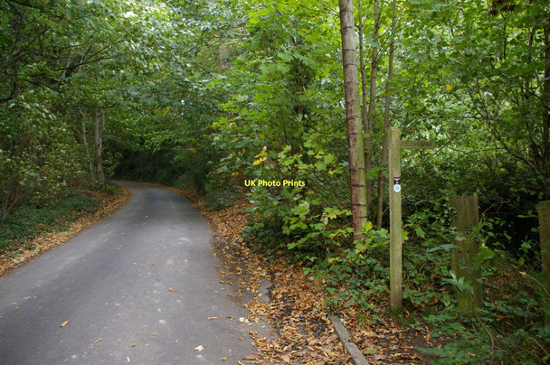 Photo 6"x4" Greensand Way meets Coldharbour Lane Bletchingley c2011