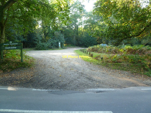 Photo 6"x4" Langley, forestry car park Blackfield c2011