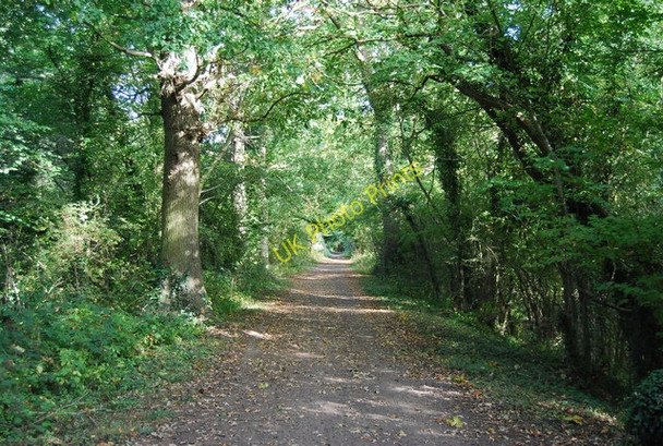 Photo 6"x4" National Cycleway 12 by The Straight Mile Leigh\/TQ5546 c2009