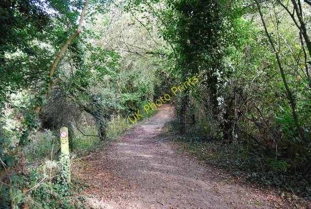 Photo 6"x4" Eden Valley Walk Leigh\/TQ5546 c2009