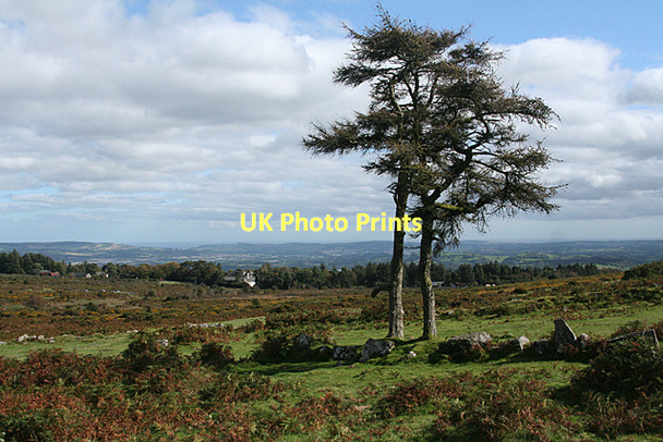 Photo 6"x4" Ilsington: towards Haytor Vale Haytor Vale c2011