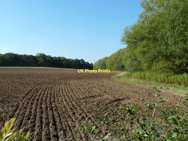 Photo 6"x4" Field by county boundary Harlesthorpe c2011