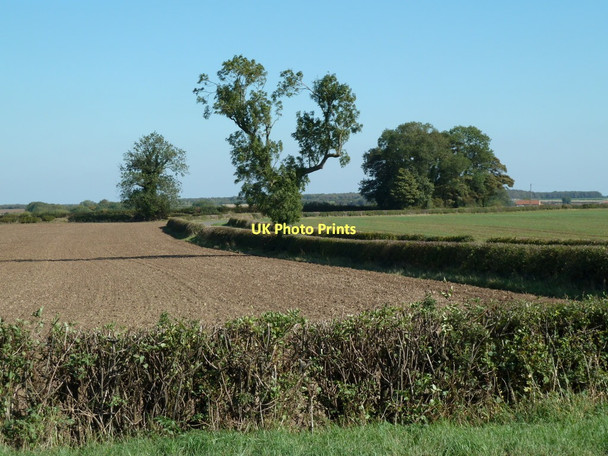 Photo 6"x4" Fields by Walls Lane Harlesthorpe c2011