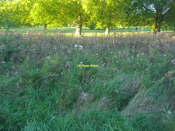 Photo 6"x4" Hendon Park Hendon\/TQ2389 c2011