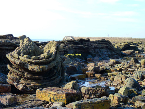Photo 6"x4" Cellardyke funnel (3) Anstruther Easter c2011
