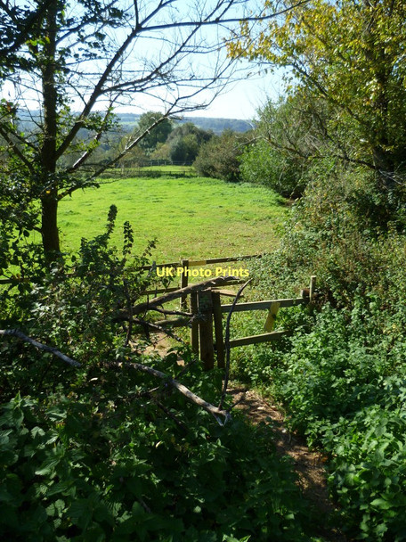 Photo 6"x4" Footpath descending over stiles on Reelhall Hill Norley Common c2011