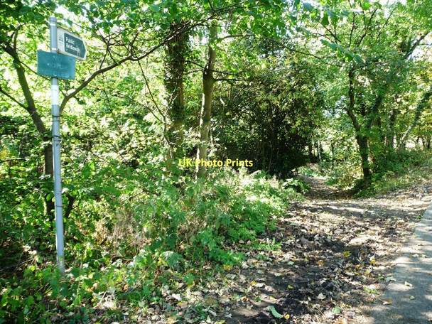 Photo 6"x4" Bridleway sign, Coach Gate Lane Nether End\/SE2407 c2011