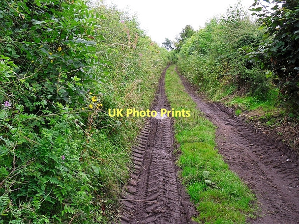 Photo 6"x4" Public bridleway to Shiel Lonning Scotby c2011