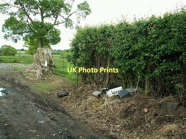 Photo 6"x4" Fly-tipped rubbish in a country lane Scotby c2007