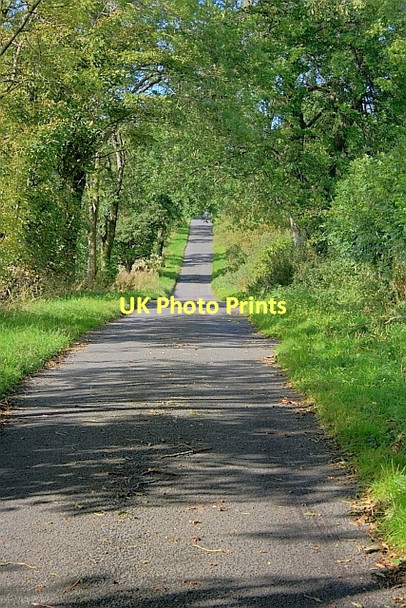 Photo 6"x4" Lane to Green Close Hutton\/NY4326 c2011