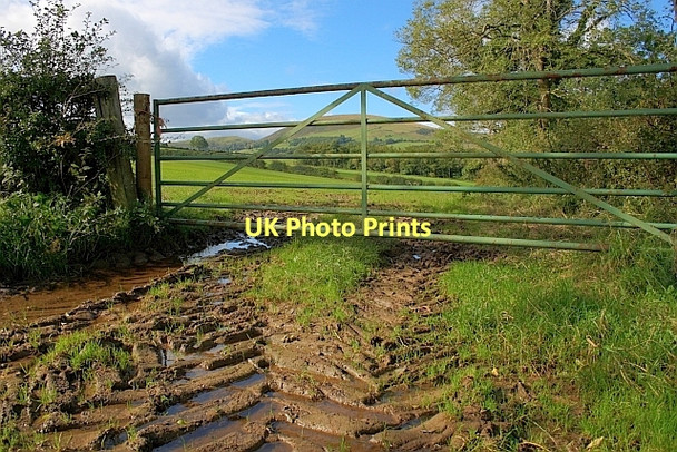 Photo 6"x4" Entrance to Field Dacre\/NY4526 c2011