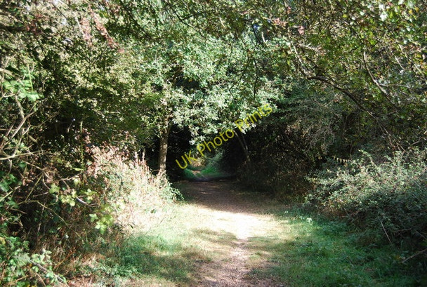 Photo 6"x4" The Wealdway in Haysden Country Park Lower Haysden c2009