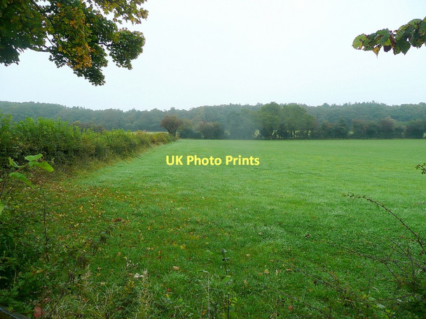 Photo 6"x4" Pastoral scene Trellech c2011