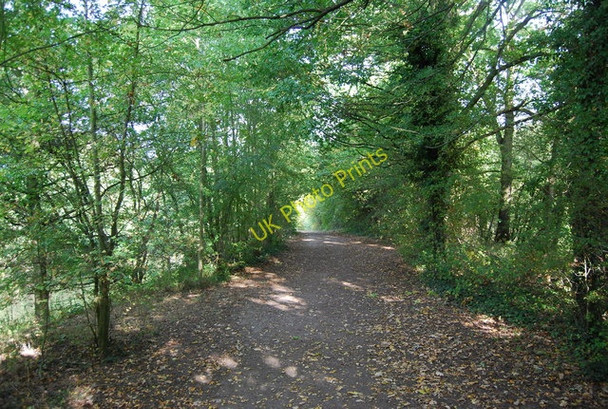 Photo 6"x4" Path south of the River Medway, Haysden Country Park Tonbridge c2009