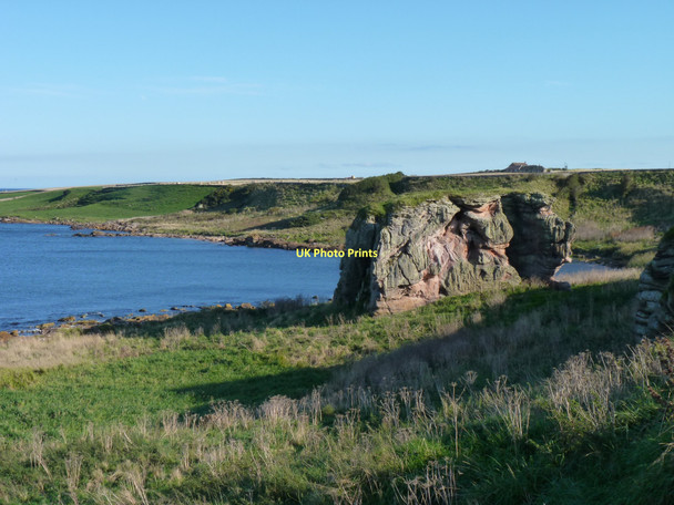 Photo 6"x4" Buddo Rock Boarhills c2011