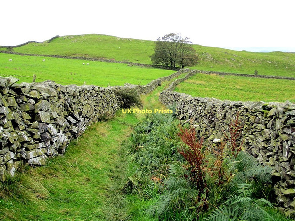 Photo 6"x4" Moughton Lane, Crummack Dale Wharfe c2011