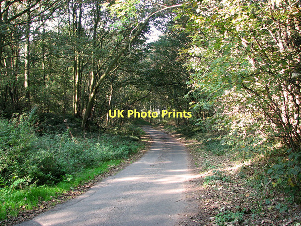 Photo 6"x4" Down Saxby Hill to Saxby All Saints Saxby All Saints c2011