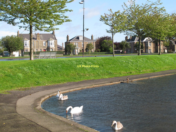 Photo 6"x4" Swanny Ponds Fintry\/NO4133 c2011