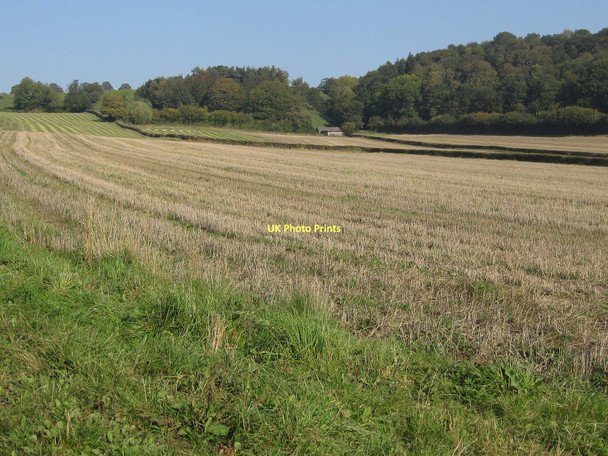 Photo 6"x4" Harvested wheat crop Appleton-le-Moors c2011