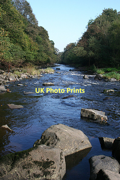 Photo 6"x4" River Almond Cramond Bridge c2011