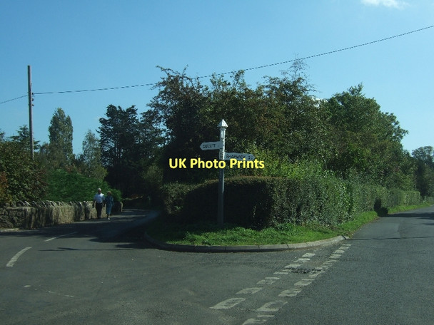 Photo 6"x4" Road fork in Edington Edington\/ST3839 c2011