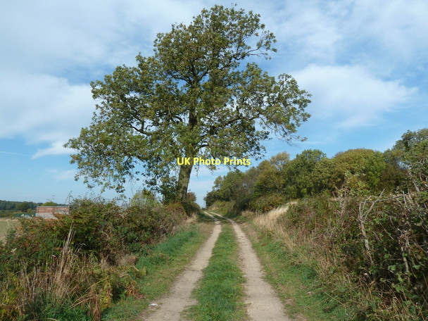 Photo 6"x4" Forge Lane (track) Shirebrook c2011
