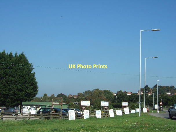 Photo 6"x4" Signs and car park for plant nursery at Martin's Moor Street\/ST4836 c2011