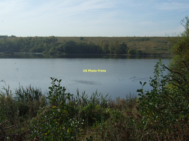 Photo 6"x4" Fairburn Ings New Fryston c2011