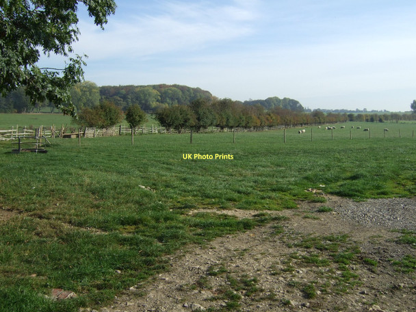 Photo 6"x4" Grazing land off Ledston Mill Lane Ledston c2011