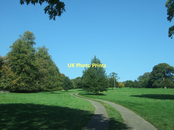 Photo 6"x4" Single-track road in Stoberry Park Wells c2011