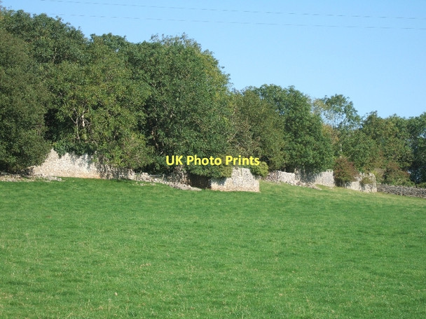 Photo 6"x4" The woods of Stoberry Warren, with stone wall on the south side Wells c2011