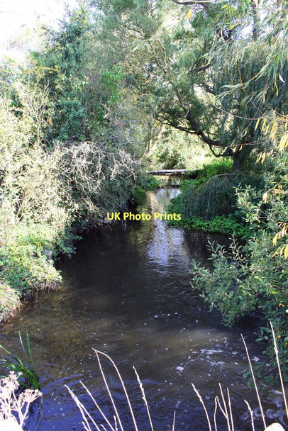 Photo 6"x4" Childrey Brook from bridge near Venn Mill East Hanney c2011