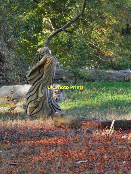 Photo 6"x4" Dunham Park, Wood fairy Altrincham c2011