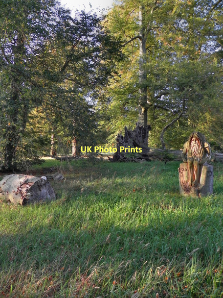 Photo 6"x4" Dunham Park Altrincham c2011