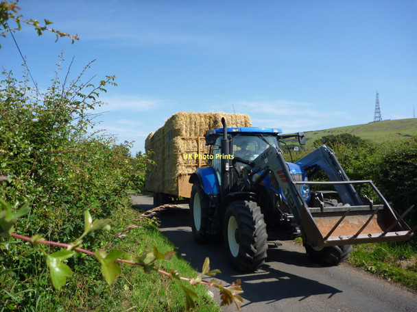 Photo 6"x4" Rural East Lothian : Close Encounter Near Thurston Mains Innerwick\/NT7274 c2011