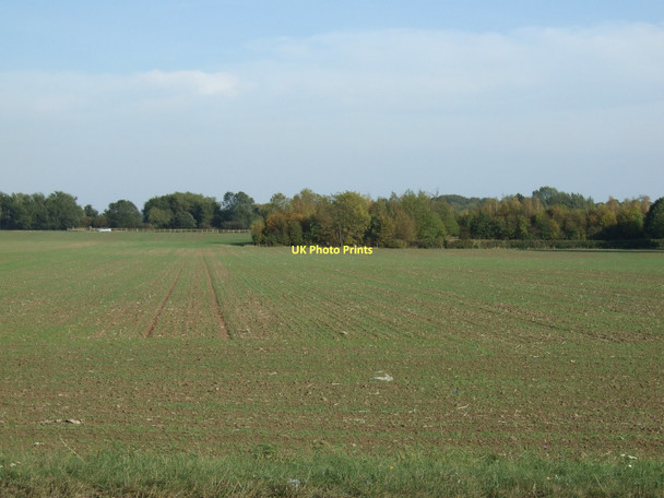 Photo 6"x4" Farmland off the A162 Lumby c2011