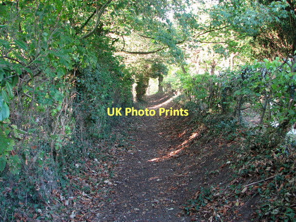 Photo 6"x4" Path past St Mary's churchyard, Kelsale Saxmundham c2011