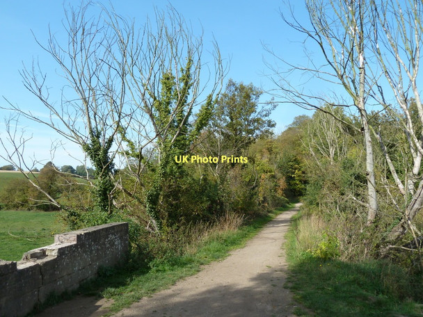 Photo 6"x4" Track north of the Meden river bridge Mansfield Woodhouse c2011