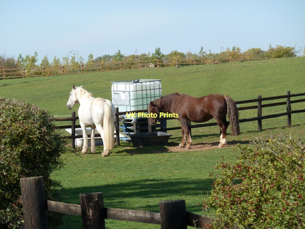 Photo 6"x4" Paddocks by Green Lane Shirebrook c2011