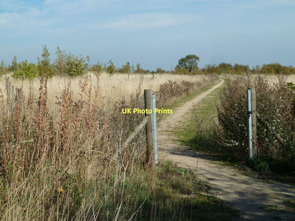 Photo 6"x4" Footpath to Shirebrook Shirebrook c2011