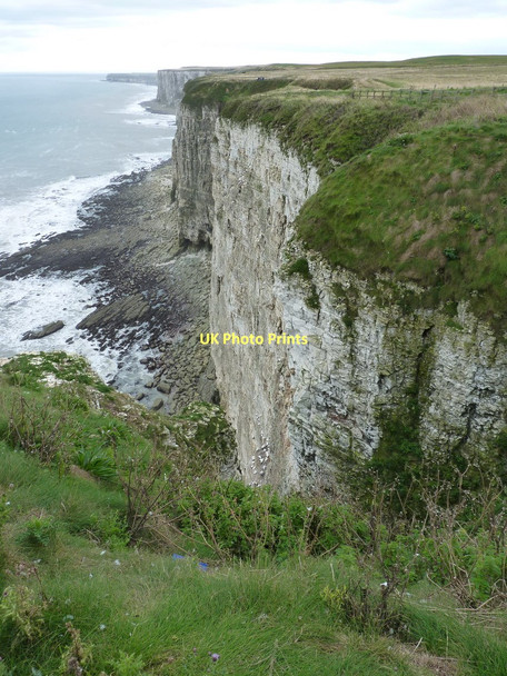 Photo 6"x4" Cliffs at Bempton Bempton c2011