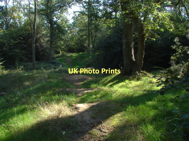 Photo 6"x4" Normandy Common Normandy\/SU9251 c2011