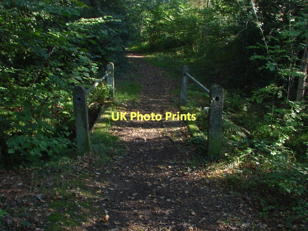Photo 6"x4" Normandy Common Normandy\/SU9251 c2011