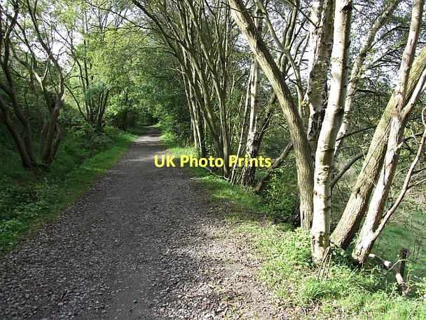 Photo 6"x4" Penicuik Railway Auchendinny c2011