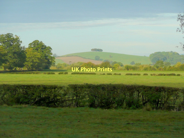 Photo 6"x4" Watermeadows of the Severn Bishop's Norton c2011
