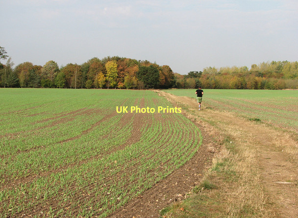 Photo 6"x4" Footpath and turning leaves Babraham c2011