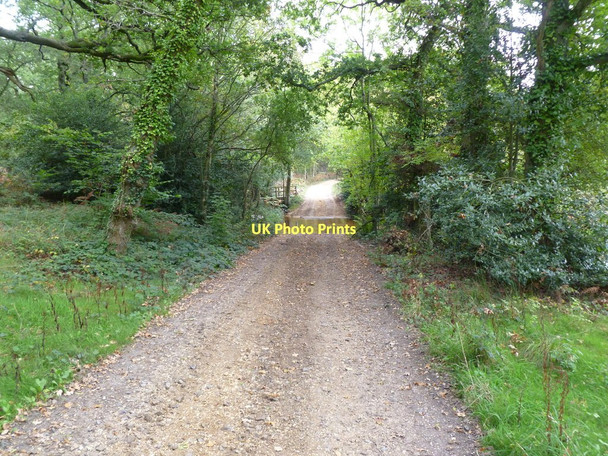 Photo 6"x4" Sandford, ford Sandford\/SU1601 c2011